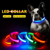 Dog Collar Anti-Lost