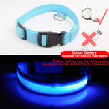 Dog Collar Anti-Lost