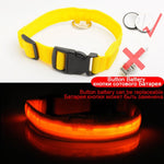 Dog Collar Anti-Lost