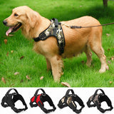 Duty Pet Harness Collar