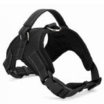 Duty Pet Harness Collar