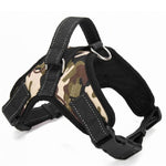 Duty Pet Harness Collar